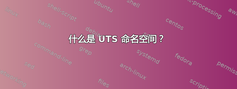 什么是 UTS 命名空间？