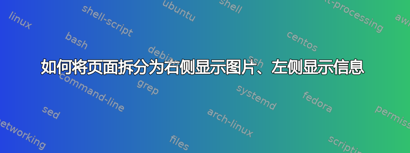 如何将页面拆分为右侧显示图片、左侧显示信息