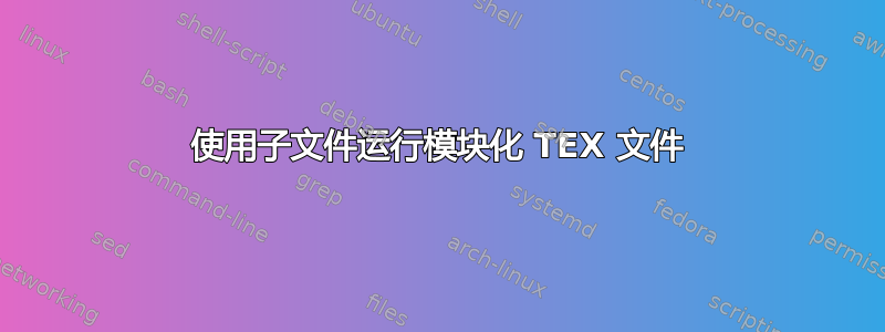 使用子文件运行模块化 TEX 文件