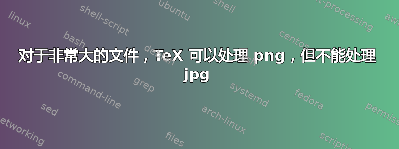 对于非常大的文件，TeX 可以处理 png，但不能处理 jpg