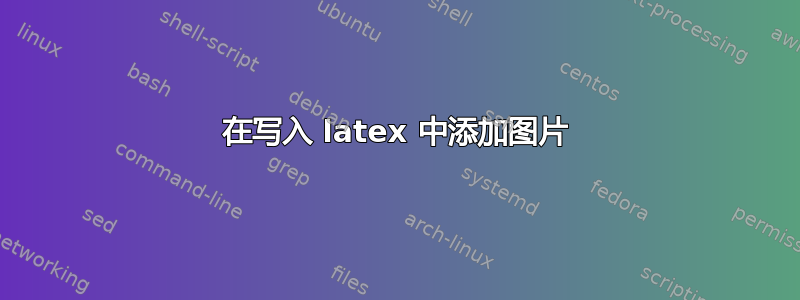 在写入 latex 中添加图片