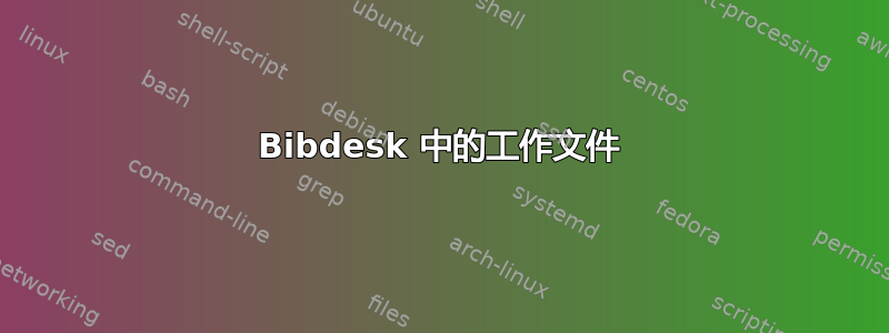 Bibdesk 中的工作文件