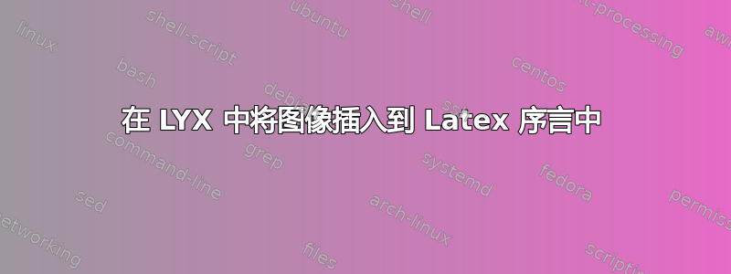 在 LYX 中将图像插入到 Latex 序言中