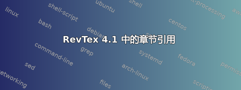 RevTex 4.1 中的章节引用