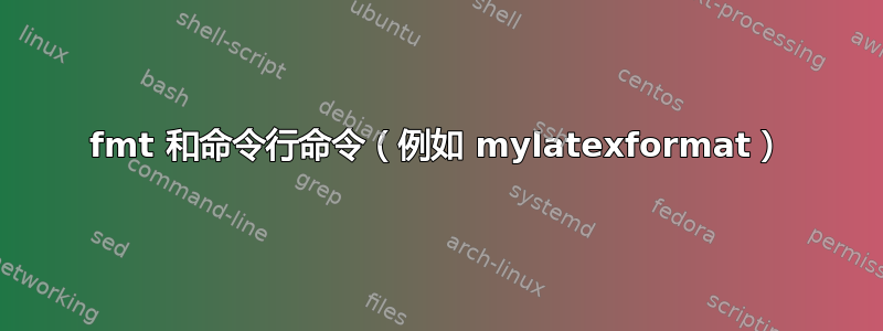 fmt 和命令行命令（例如 mylatexformat）