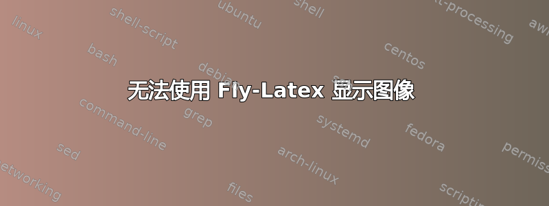 无法使用 Fly-Latex 显示图像