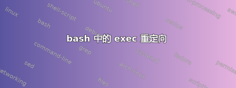 bash 中的 exec 重定向