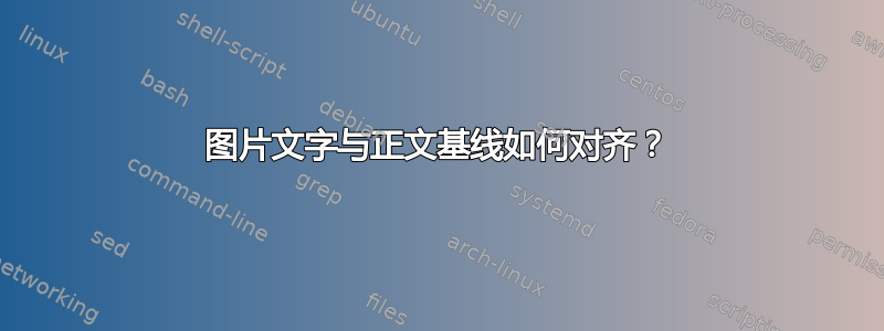 图片文字与正文基线如何对齐？