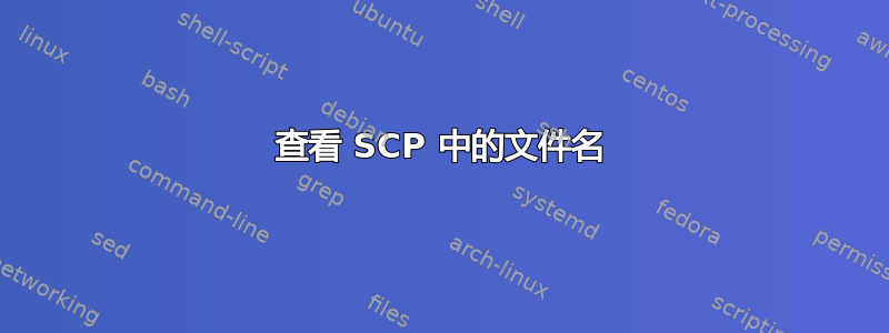 查看 SCP 中的文件名