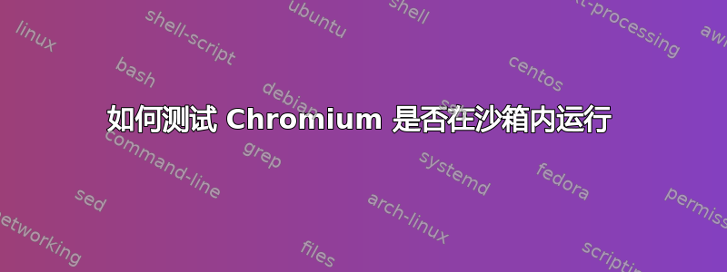 如何测试 Chromium 是否在沙箱内运行