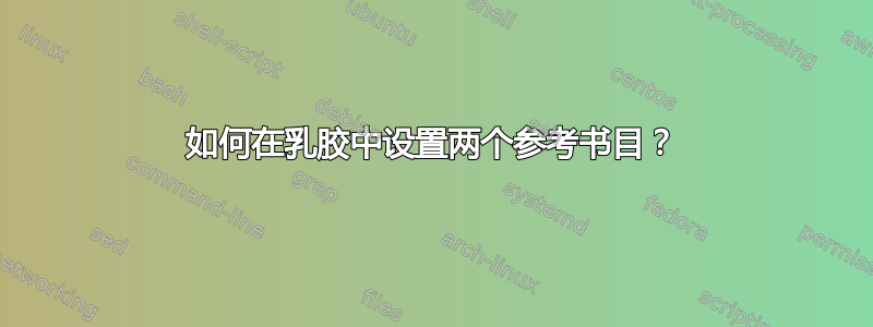 如何在乳胶中设置两个参考书目？