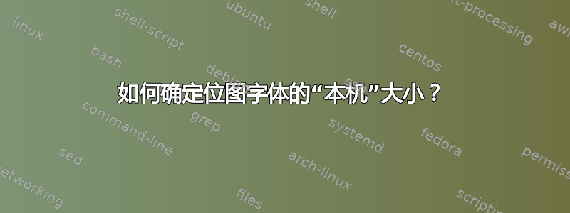 如何确定位图字体的“本机”大小？