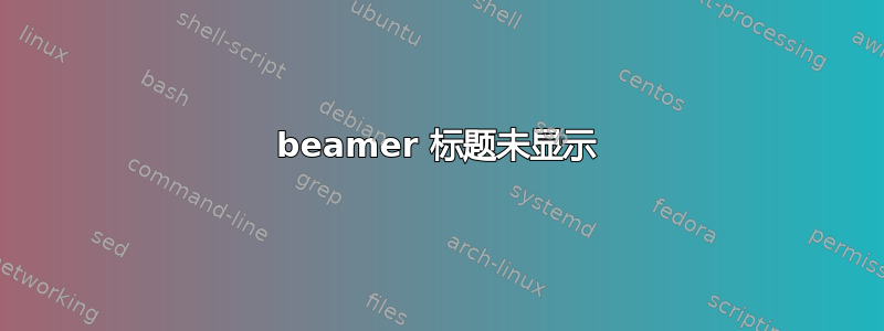 beamer 标题未显示