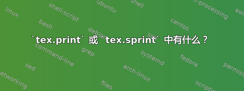 `tex.print` 或 `tex.sprint` 中有什么？
