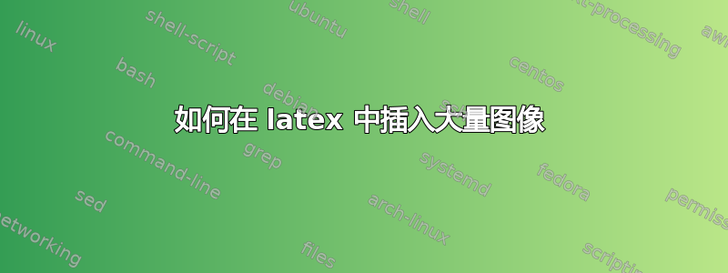 如何在 latex 中插入大量图像