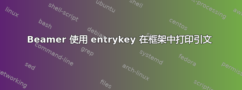 Beamer 使用 entrykey 在框架中打印引文