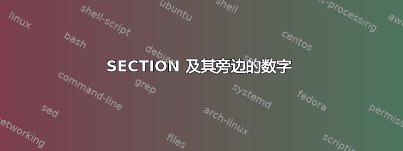 SECTION 及其旁边的数字