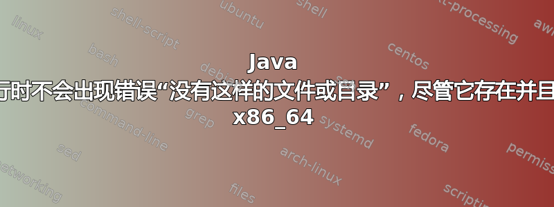 Java 运行时不会出现错误“没有这样的文件或目录”，尽管它存在并且是 x86_64