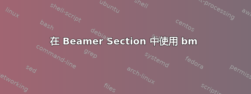 在 Beamer Section 中使用 bm