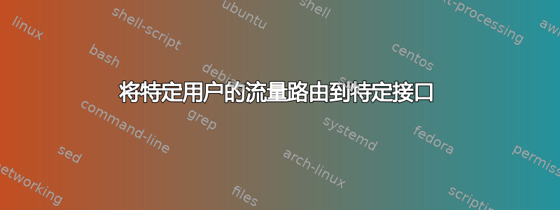 将特定用户的流量路由到特定接口