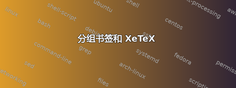 分组书签和 XeTeX