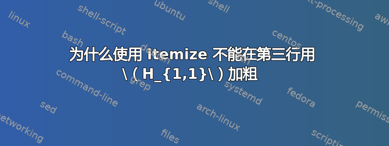 为什么使用 itemize 不能在第三行用 \（H_{1,1}\）加粗 