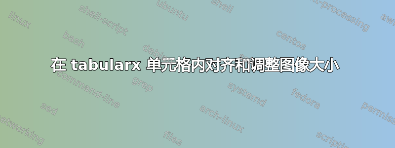 在 tabularx 单元格内对齐和调整图像大小