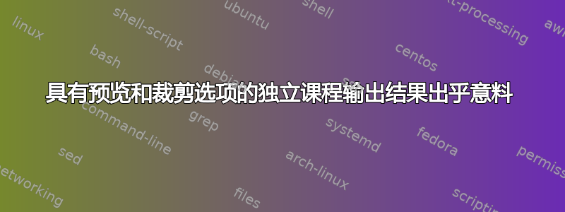 具有预览和裁剪选项的独立课程输出结果出乎意料