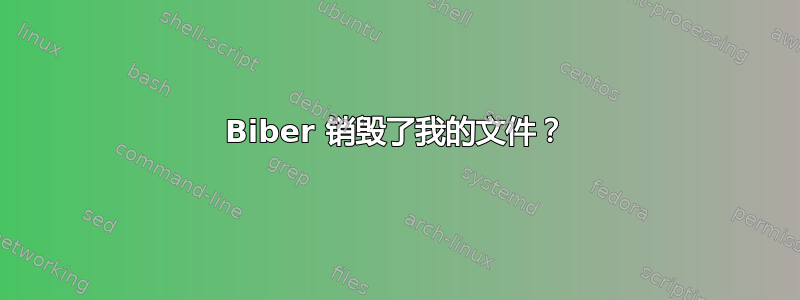 Biber 销毁了我的文件？