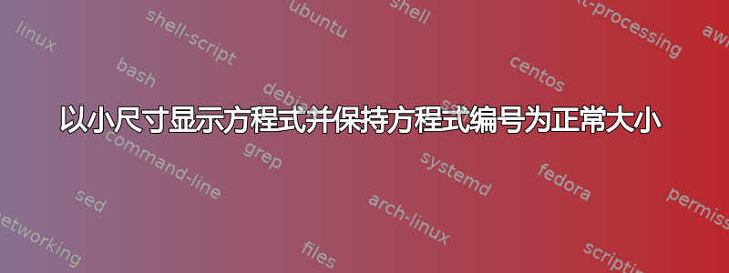 以小尺寸显示方程式并保持方程式编号为正常大小