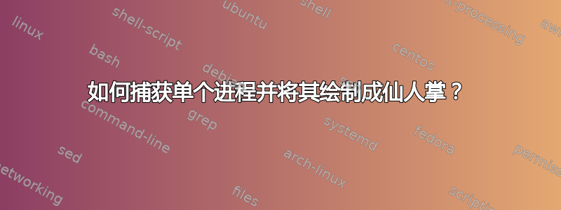 如何捕获单个进程并将其绘制成仙人掌？