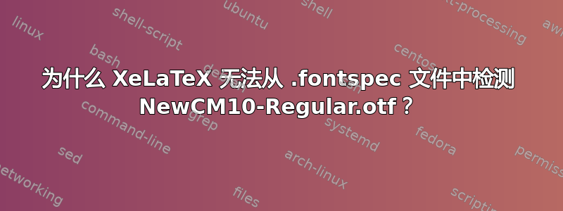 为什么 XeLaTeX 无法从 .fontspec 文件中检测 NewCM10-Regular.otf？