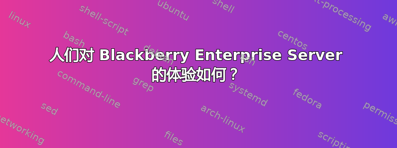 人们对 Blackberry Enterprise Server 的体验如何？