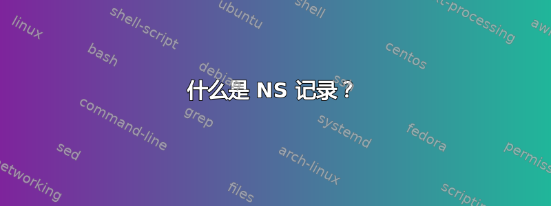 什么是 NS 记录？