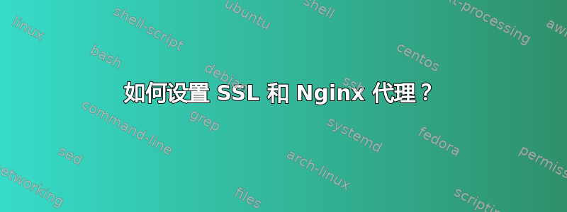 如何设置 SSL 和 Nginx 代理？