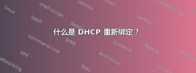 什么是 DHCP 重新绑定？