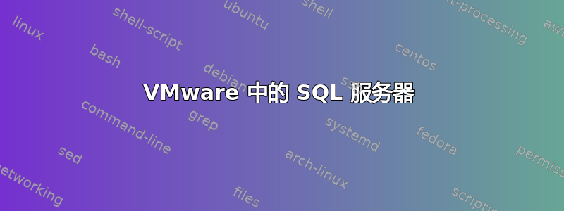 VMware 中的 SQL 服务器