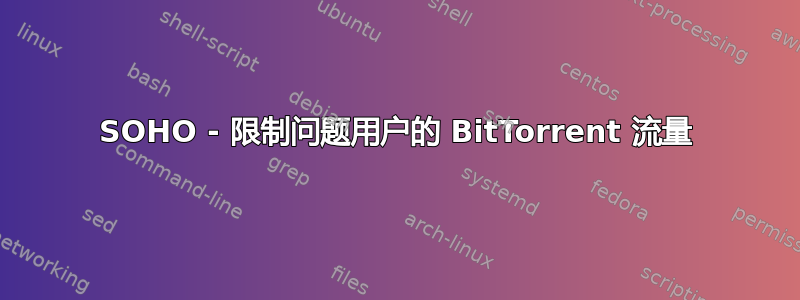 SOHO - 限制问题用户的 BitTorrent 流量