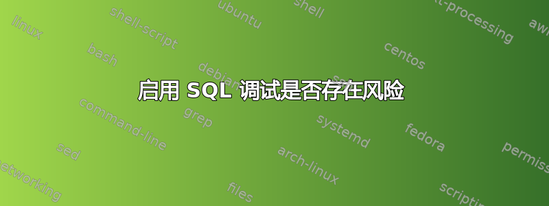 启用 SQL 调试是否存在风险