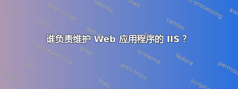 谁负责维护 Web 应用程序的 IIS？