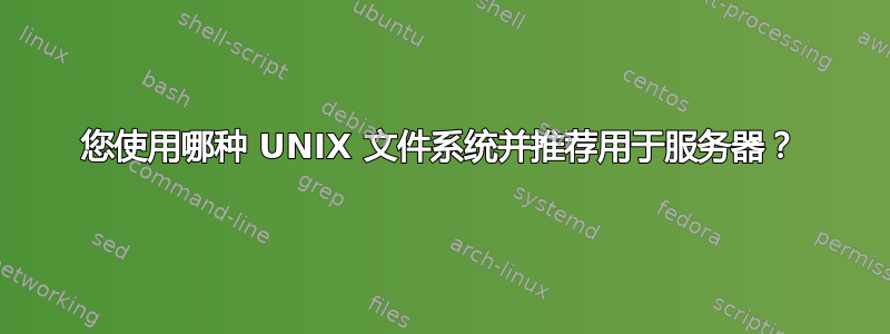 您使用哪种 UNIX 文件系统并推荐用于服务器？