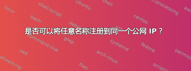 是否可以将任意名称注册到同一个公网 IP？