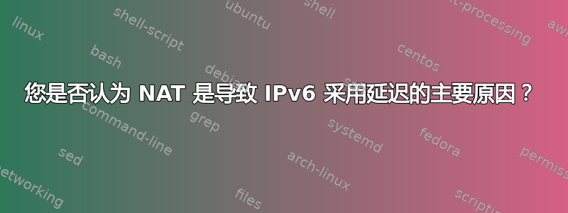 您是否认为 NAT 是导致 IPv6 采用延迟的主要原因？