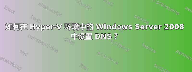 如何在 Hyper-V 环境中的 Windows Server 2008 中设置 DNS？