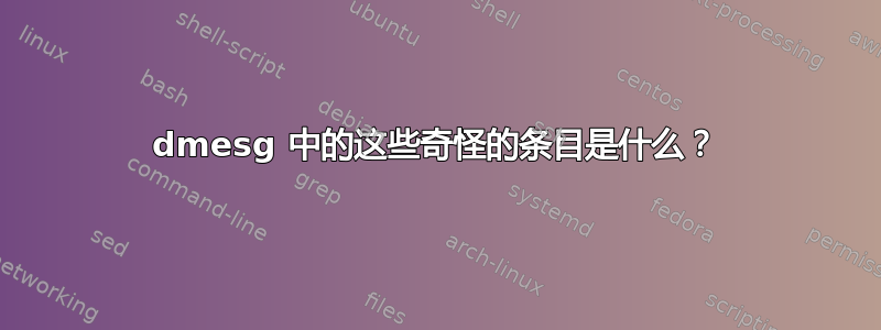 dmesg 中的这些奇怪的条目是什么？