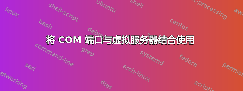 将 COM 端口与虚拟服务器结合使用