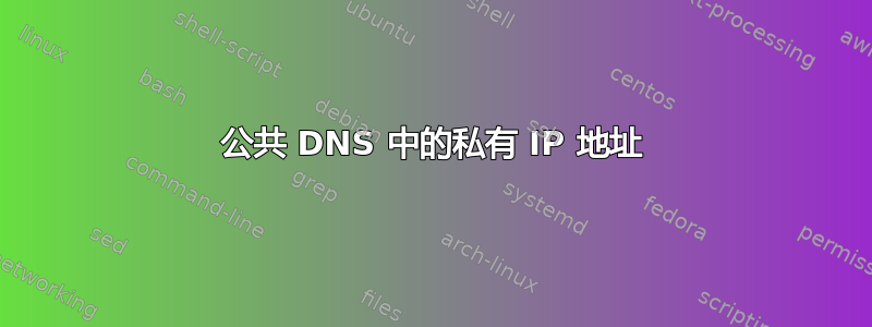 公共 DNS 中的私有 IP 地址