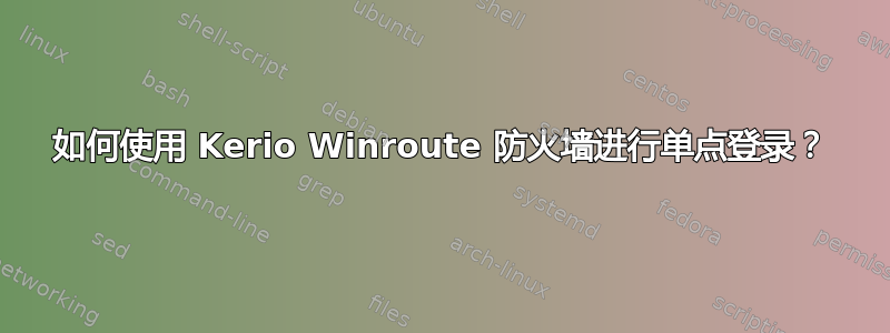 如何使用 Kerio Winroute 防火墙进行单点登录？