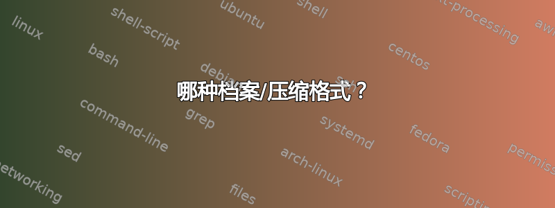 哪种档案/压缩格式？