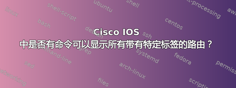 Cisco IOS 中是否有命令可以显示所有带有特定标签的路由？